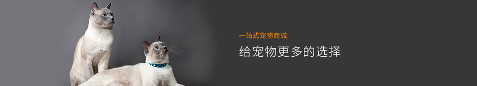 未标题-6